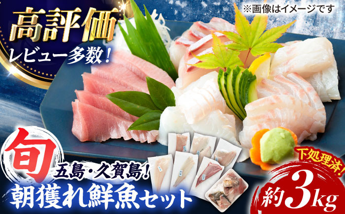 
            【下処理済！真空パックでお届け】五島産 高級 朝獲れ 鮮魚 ( 下処理済 ) 約3kg セット 五島市/マルセイ水産[PBT001]
          