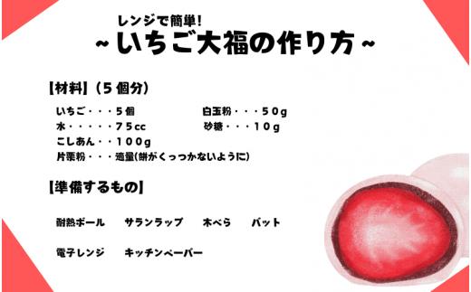 【無添加】ないとうのあんこ3種（こしあん500g×2・白あん500g・粒あん500g）　計2kg　/ 餡　あんこ　こしあん　粒あん　白あん　無添加　和菓子【nit001】