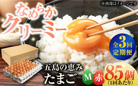 【3回定期便】【箱入り】五島の恵みたまご Mサイズ 85個入 / 卵 赤玉子 五島市 / 五島列島大石養鶏場[PFQ014]  玉子 タマゴ 鶏卵 希少 五島列島