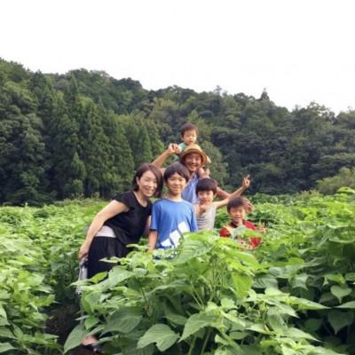 ふるさと納税 舞鶴市 混ざり物なしのエゴマ油5本セット【京都産100%】 |  | 03