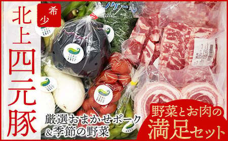  12ヶ月定期便 四元豚 厳選カット肉 & 季節のうるおい野菜 セット GIFTON お歳暮 お中元  ギフト プレゼント 母の日 父の日 誕生日 お祝い 卒業祝い 入学祝い バーベキュー BBQ 焼肉 ファミリー パーティー 子供会 肉 セット 野菜 セット 旬の野菜 季節の野菜 豚肉 カット肉 岩手県 北上市 ごえん 株式会社  R0018