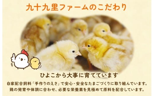 九十九里ファームこだわりたまご贈答用30個～あおい海・みどりの里～《白玉》 ／ たまご 卵 玉子 タマゴ 生卵 卵かけご飯 鶏卵 30個 白玉　30個×1回