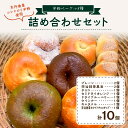 【ふるさと納税】京都のパン屋★【訳あり】 京都丹後産米粉ベーグル 5種 10個詰め合わせ 1回 3回 回数 選べる ベーグル セット おいしい 米粉 プレーン チョコ キャラメル 宇治抹茶 ウインナー 食べ比べ ふるさと納税 ベーグル パン 京都パン 冷凍パン