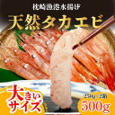 【ふるさと納税】【薩摩の甘エビ】天然タカエビ500g　A0-50_ 甘エビ 海老 あまえび 天然 海鮮 甘海老【配送不可地域：離島】【1524580】