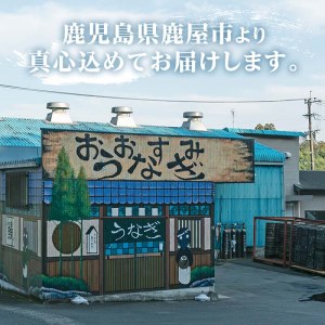 【特大】鹿児島県鹿屋市　元祖　備長炭手焼　うなぎ蒲焼　3尾(660ｇ) 1745