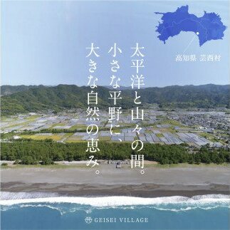 KPP030　朝どれ！ 野菜詰合せ／芸西村で採れた新鮮な野菜6～8種類をお届けします。特産品 ピーマン ナス こだわりの栽培方法 環境に優しい 安全で安心な野菜づくり  支援品_イメージ2