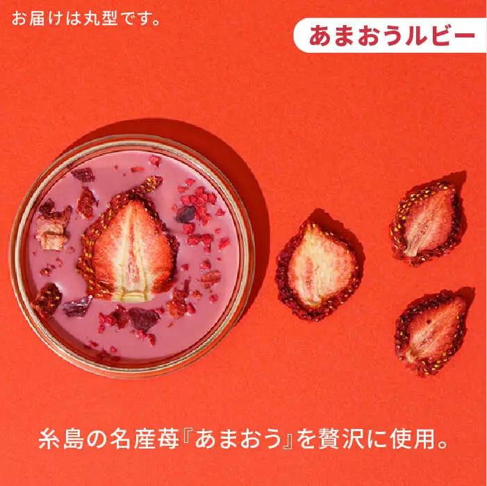 【カカオ72%】糸島ドライフルーツチョコレート3種4個セットBOX《糸島》【itoshimacco《（株）やました》】 [ARJ020]