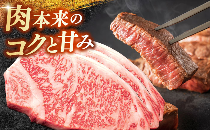 ステーキ 【奥出雲和牛】サーロインステーキ 600g(200g×3枚) / サーロインステーキ ステーキ ステーキ肉 牛肉 肉 お肉 焼肉 和牛 和牛ステーキ 牛ステーキ 黒毛和牛 ブランド牛 冷凍配