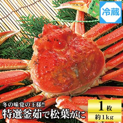 ふるさと納税 養父市 兵庫県香住産　特選釜茹で松葉ガニ【11月中旬以降発送】