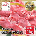 【ふるさと納税】佐賀牛切り落とし 1,000g (500g x 2パック) (BL037)