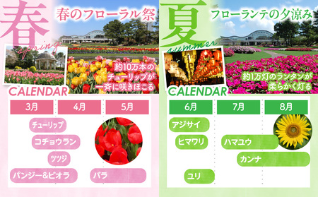 フローランテ宮崎年間パスポート（小人）自然 花 祭 祭典 イルミネーション フラワーガーデン イベント チケット 引換券 入園券 フローランテ宮崎 小学生 中学生