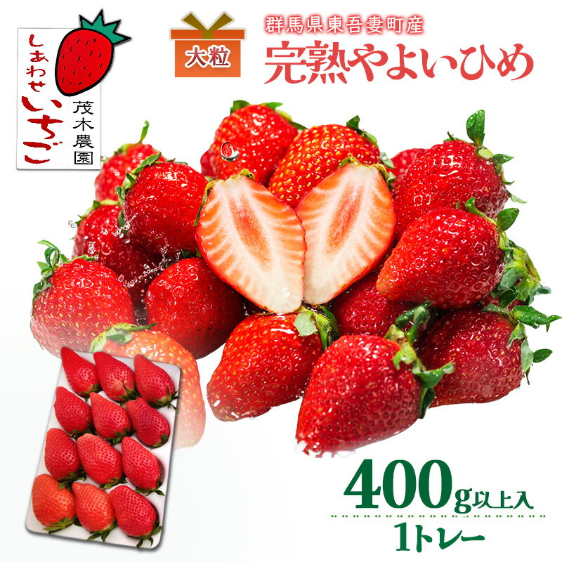 【ふるさと納税】【贈答用】やよいひめ 1トレー（400g以上） いちご ストロベリー 果物 くだもの フルーツ ギフト プレゼント 群馬県 東吾妻町