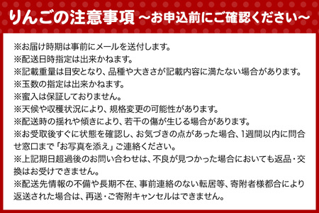 【レビューキャンペーン】【25年11月発送】りんご 葉とらず ふじ【家庭用】約5kg ゴールド農園