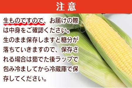 期間限定！予約受付！＜宮崎県産 スイートコーン 約4.5kg＞2024年5月下旬～6月中旬迄に順次出荷【 先行予約 穀物 野菜 甘い 季節限定 とうもろこし おやつ ご飯 スープ サラダ BBQ 屋台