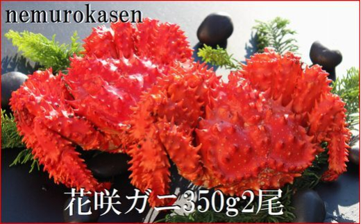 B-57028【12/21まで年内配送】【北海道根室産】花咲ガニ350g×2尾