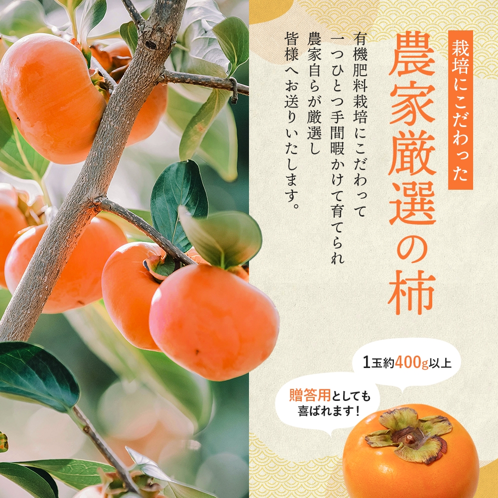 希少な柿【輝太郎】大玉6個～7個 コクのある甘さ！こだわり農家厳選 【2025年10月初旬頃から10月下旬頃順次発送】/ 柿 かき 果物 フルーツ 輝太郎 デザート おやつ 和菓子 菓子 お菓子 和歌