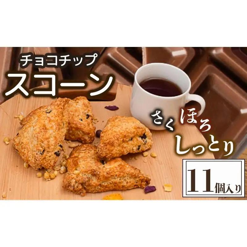 チョコチップ スコーン １１個 セット