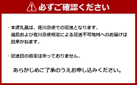 r05-010-086 新潟県産もち米使用「越後もちめし８個」（七目2個、和牛ごぼう2個、焼豚2個、ちりめん山椒2個）