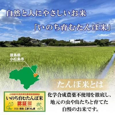 ふるさと納税 小松島市 【栽培期間中農薬不使用】玄米 10kg コシヒカリ  令和7年産 米 こめ ご飯 ごはん |  | 01