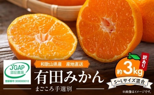 
                  ZE6481_01_【2027年1月発送】【家庭用】和歌山県産 有田みかん 約3kg  (S～Lサイズ混合)【まごころ手選別】
                