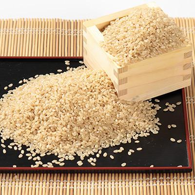 ふるさと納税 大潟村 【毎月定期便】あきたこまち 玄米 20kg(5kg×4袋)全9回 |  | 01