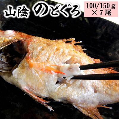 ふるさと納税 新温泉町 山陰のノドグロ　7尾入　煮付け、塩焼きに!