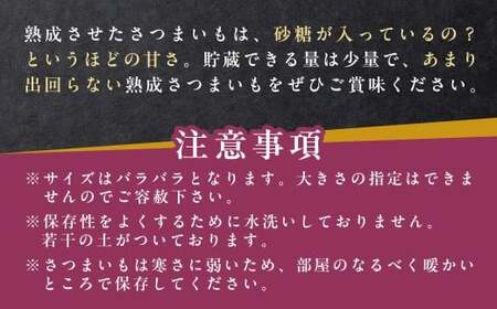 2ヶ月熟成あま～いサツマイモ　シルクスイート2㎏  FCAC023