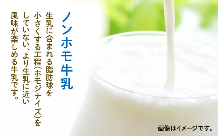 【全6回定期便】牧場の アイスクリーム セット ( 100g × 6個 ) カップ 熊本 山都町【山の未来舎】[YBV019]