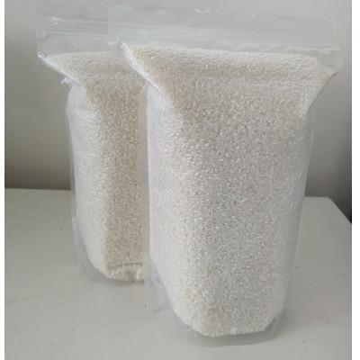 ふるさと納税 岐阜市 岐阜の米ハツシモ白米計5kg　真空パック2.5kg×2パック