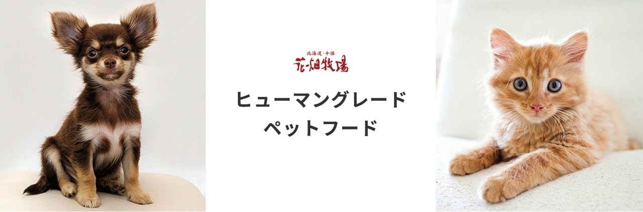 ヒューマングレードペットフード エゾ鹿肉の極上ジャーキー 30g×10個セット（犬用おやつ）