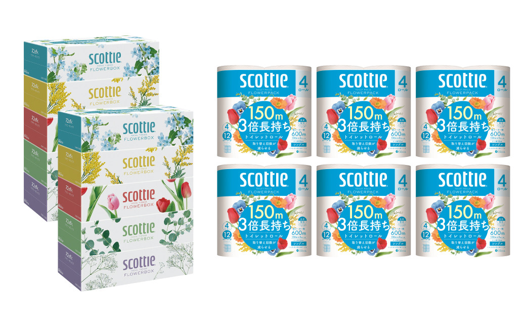 【定期便3回】【毎月1回お届け】【スコッティ】ティシュー フラワーボックス＋フラワーパック 3倍長持ち（シングル）