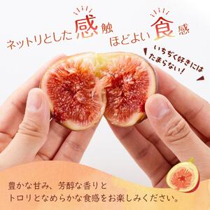 【尾道特産・秋の味覚！しまのいちぢく】瀬戸内・因島の蓬莱柿（ほうらいし）約320g×4パック【9月より配送】