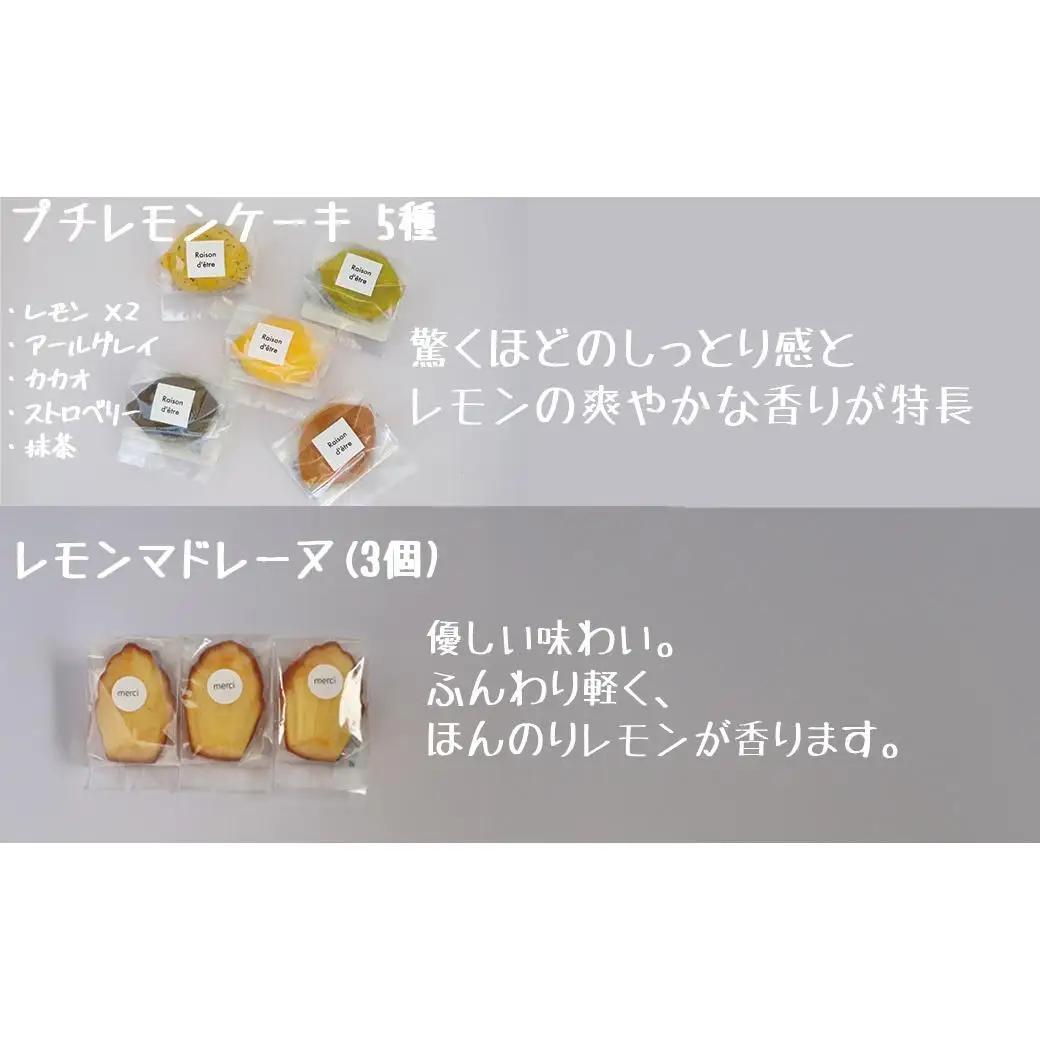 プチレモンケーキ5種6個＆レモンマドレーヌ3個 9個入り詰め合わせセット レモンケーキ マドレーヌ 焼き菓子 洋菓子 スイーツ 詰め合わせ セット アソート 個包装 ギフト