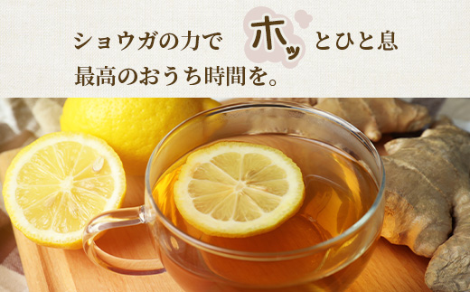 【のし付き・お中元】発酵ジンジャーシロップ(150g×3)【優しい甘さの生姜シロップ】A7−12C【配送不可地域：離島】【1508327】