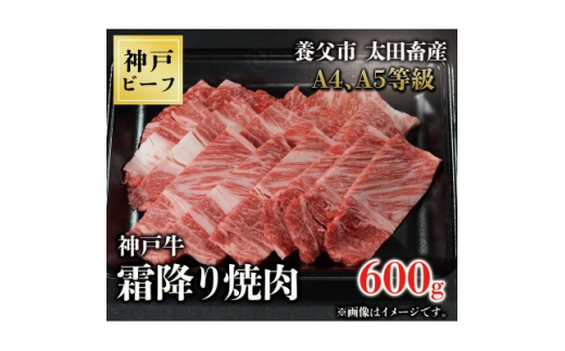 神戸牛　霜降り焼肉　600g【1441913】