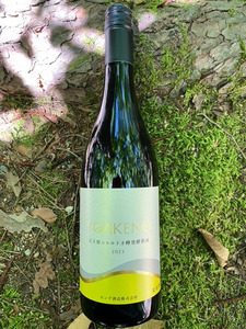 北杜のマニアックな白ワイン 4本セット シャルマンワイン モンデ酒造 720ml 750ml お酒 アルコール 母の日 父の日 明野 ブドウ