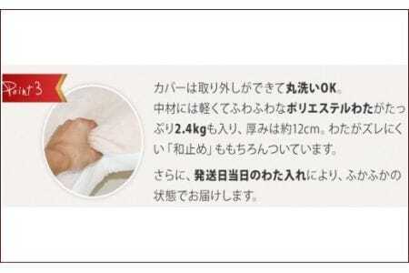 ごろ寝マット　４シーズンズ　７０ｘ１８０ _アイボリーベージュ【G0140】