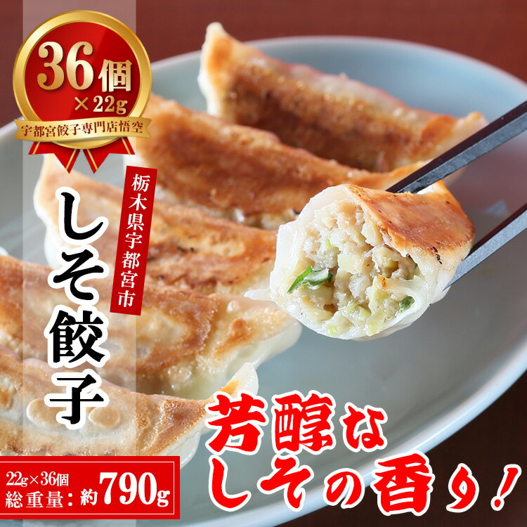 【ふるさと納税】餃子専門店 宇都宮 悟空 しそ餃子 22g×36個入｜ 餃子 冷凍 ぎょうざ ギョーザ 紫蘇 シソ 肉多め 人気 名物 行列 国産野菜 国産豚肉 ジューシー スタミナ パリパリ もちもち グルメ おかず 栃木県
