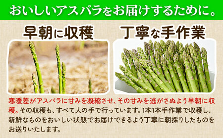【2027年出荷】 アスパラガス 約 1kg 2Lサイズ (約30本) なよろ観光まちづくり協会アスパラガス