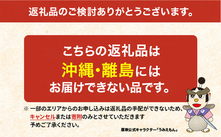 うに ロシア産 バフンウニ 塩水パック 100g×2 ウニ