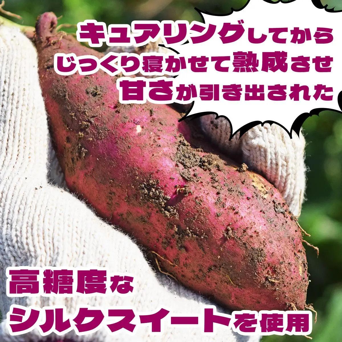 伊達の畑から そのまんま シルクスイート 厚切りさつまいもフライ ２パックセット【upd-001】