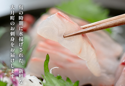 旬のお刺身用 柵セット 9～12種 高知 海鮮 盛り合わせ 食べ比べ 鮮度抜群 刺し身 グルメ 酒の肴