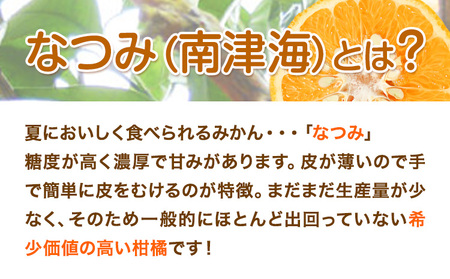 ＜先行予約＞初夏のみかん なつみ 約 5kg 株式会社 魚鶴商店《2026年4中旬-4月下旬頃出荷》 和歌山県 日高川町 みかん なつみ 南津海 柑橘 果物 フルーツ 送料無料