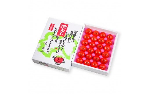 【先行予約】フルーツトマト特選ギフト約1kg <2027年1月〜発送> /  特Aランク トマト フルーツトマト 池トマト 糖度10度以上 高糖度 高知県産 ギフト 箱入り 贈答用 贈り物 健康【池ト
