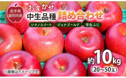 【品種おまかせ】9月中旬発送開始 りんご 詰め合わせ 2種以上 10kg (20～50玉)  シナノスイート ジョナゴールド 早生ふじ ぐんま名月 もりのかがやき その他 中生品種 果物 くだもの フルーツ 林檎 りんご リンゴ 産地直送 新鮮 旬 国産 詰め合わせ 岩手県 盛岡市 東北 岩手 盛岡 藤与果樹園  fujiyo012