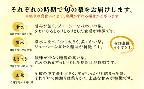 【 数量限定 】 旬の梨 5kg 10～12 玉 【12月より発送】