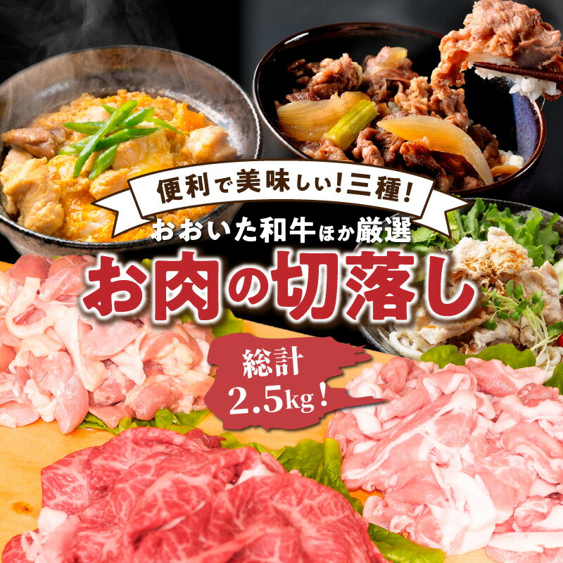 【ふるさと納税】牛肉 豚肉 鶏肉 切り落とし セット 2.5kg 3種 おおいた 和牛 黒毛和牛 若鶏 豚 大分県産 国産 九州 大分 国東 バラ肉 もも肉 肩肉 むね肉 おかず 料理 便利 使いやすい 炒め物 煮物 揚げ物 焼き物 お取り寄せ 送料無料