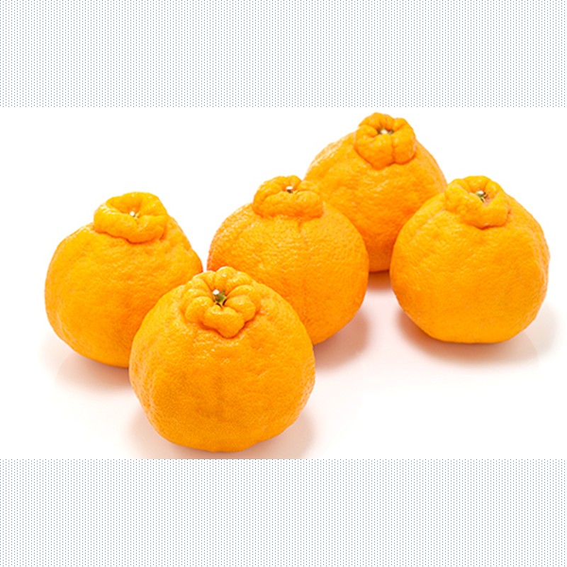 佐賀県産不知火 5kg 226-B1022