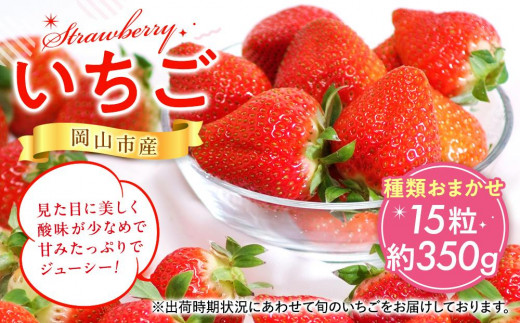 
            岡山市産 いちご 15粒（約350g）種類おまかせ
          