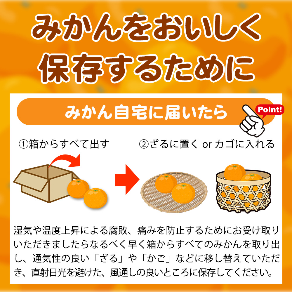 EA6041_和歌山県限定の極早生みかん 10kg (YN-26 大小混合)